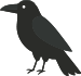 Expert Kent boiler engineers Expert Kent boiler engineers crow