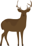 Local boiler repairs Local boiler repairs deer