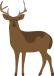 Expert heating engineers Kent deer