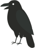 Crow watches Viking heating facebook feed Crow watches Viking heating facebook feed